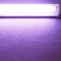 The Truth About UV Lights and Their Impact on Your Electricity Bill: An Expert's Perspective