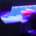 The Truth About UV Light: An Expert's Perspective